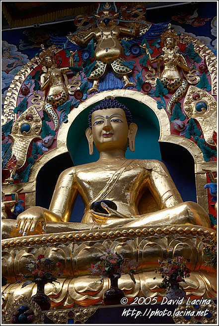Buddha Shakyamuni plated with gold - Golden Temple, Namdroling Monastery, South India