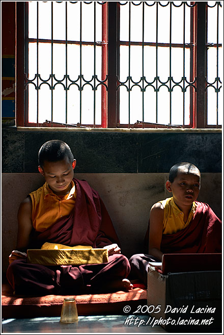 Monks under window - Golden Temple, Namdroling Monastery, South India