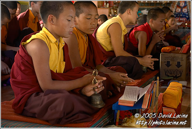 Chanting monks - Golden Temple, Namdroling Monastery, South India