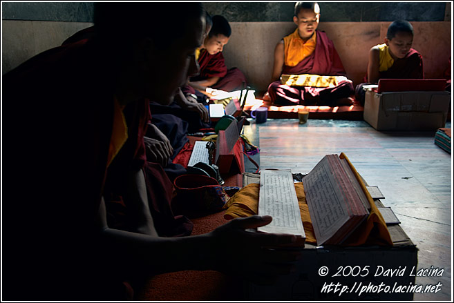 Monks in Prayer - Golden Temple, Namdroling Monastery, South India