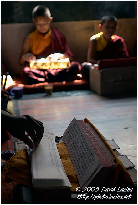 Monks in Prayer - Golden Temple, Namdroling Monastery, South India