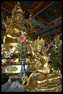 Interior of the temple, Golden Temple, Namdroling Monastery, South India