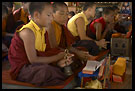 Chanting monks, Golden Temple, Namdroling Monastery, South India