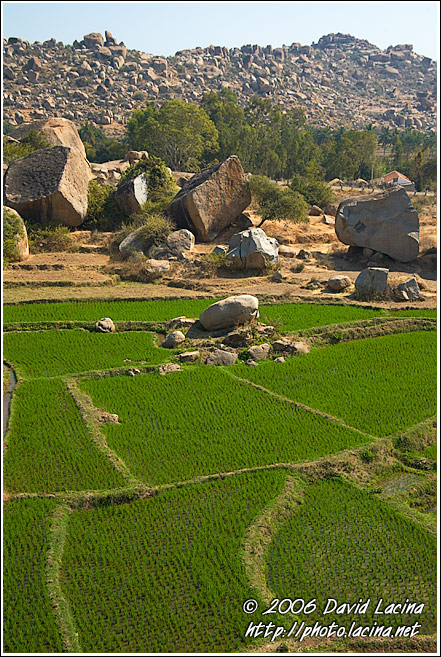 Rice Fields And Moon Landscape - Hampi - Nature, South India