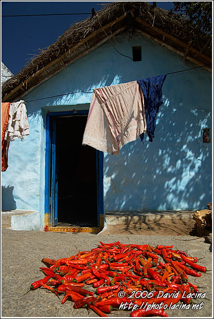 Drying Chilli - Hampi - Nature, South India