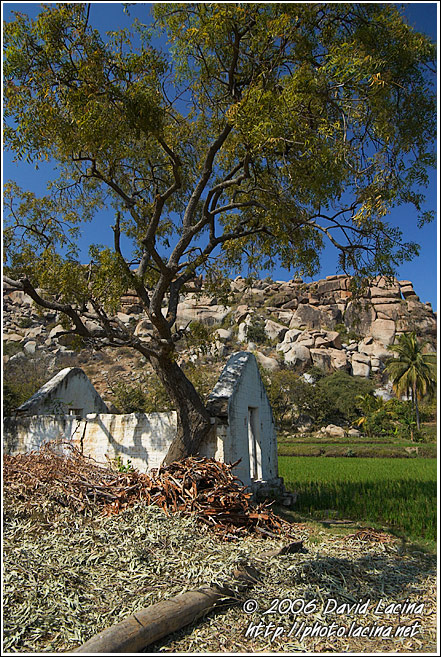 House By Rice Field - Hampi - Nature, South India