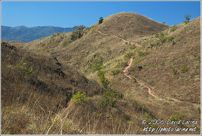 Trekking In Kodagu Hills - Kodagu (Coorg) Hills, South India
