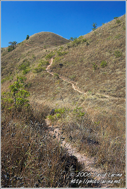 Trekking In Kodagu Hills - Kodagu (Coorg) Hills, South India