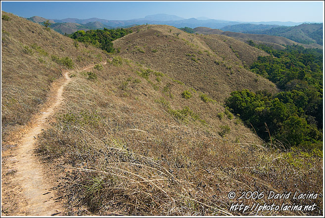 Trekking In Kodagu Hills - Kodagu (Coorg) Hills, South India