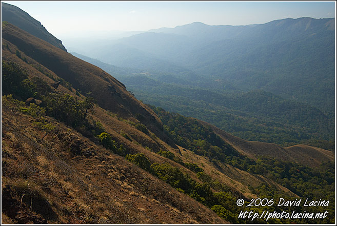Kodagu Landscape - Kodagu (Coorg) Hills, South India