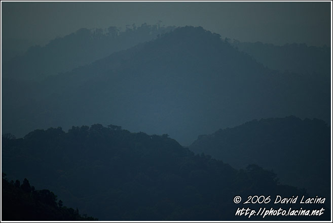 Morning Mist Over Coorg Jungle - Kodagu (Coorg) Hills, South India