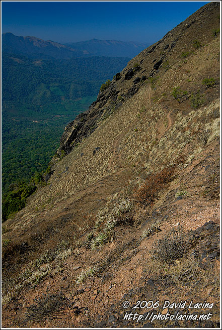 Kodagu Landscape - Kodagu (Coorg) Hills, South India