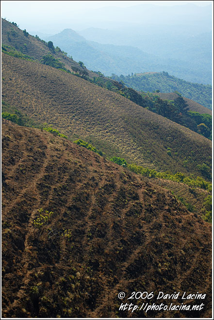 Kodagu Landscape - Kodagu (Coorg) Hills, South India