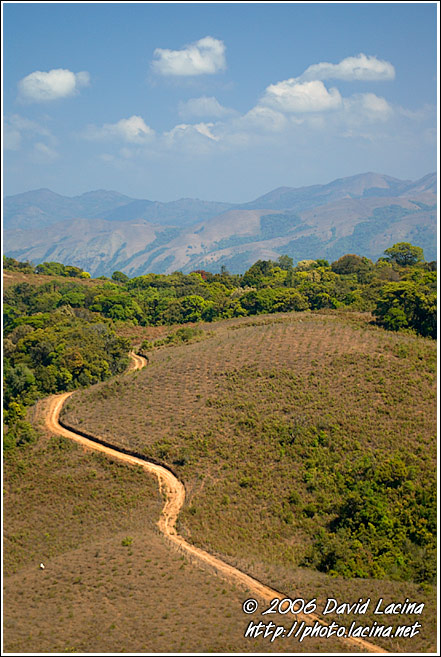 Path Throuh The Coorg Hills - Kodagu (Coorg) Hills, South India
