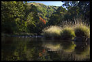 Photos in category South India - Kodagu (Coorg) Hills
