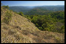 Kodagu Hills, Kodagu (Coorg) Hills, South India