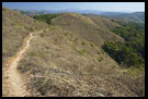 Trekking In Kodagu Hills, Kodagu (Coorg) Hills, South India