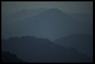 Morning Mist Over Coorg Jungle, Kodagu (Coorg) Hills, South India