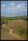 Path Throuh The Coorg Hills, Kodagu (Coorg) Hills, South India