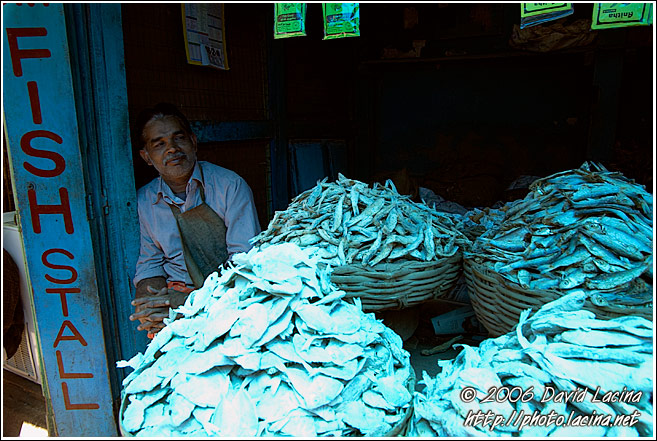 Fish Stall - Ooty, South India