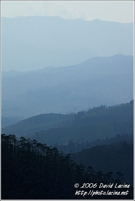 Ooty Landscape - Ooty, South India