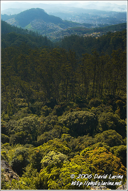 Ooty Landscape - Ooty, South India