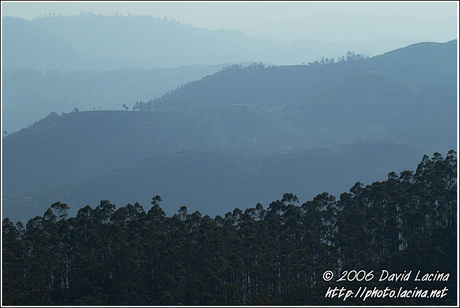 Ooty Landscape - Ooty, South India