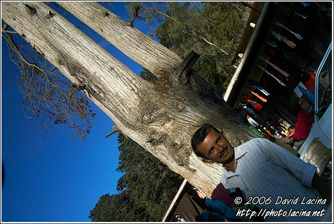 Moment From A Tibetan Market - Ooty, South India