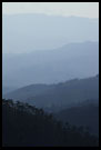 Ooty Landscape, Ooty, South India