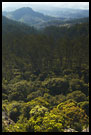 Ooty Landscape, Ooty, South India