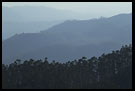 Ooty Landscape, Ooty, South India