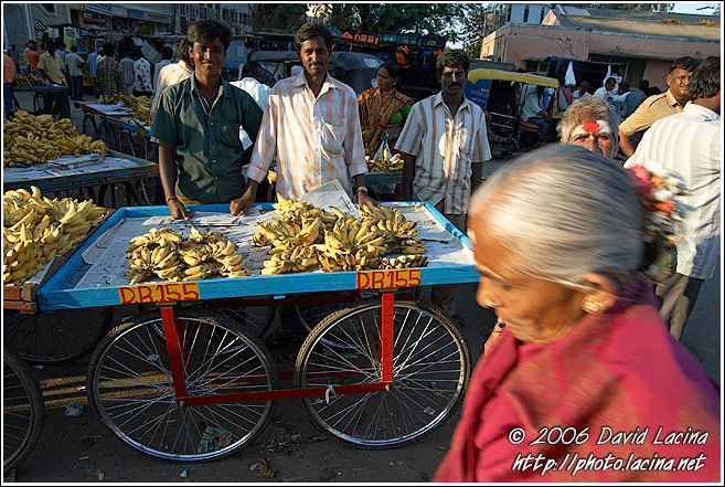 Stall With Bananas, Local Market, Mysore - The People, South India