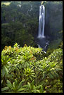 Thomson's Falls, Thomson's Falls, Kenya