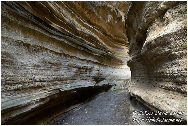 Mystical Path - Hell's Gate, Kenya
