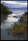 Photos in category Kenya - Lake Naivasha