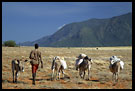 Samburu Land, Samburu Portraits, Kenya