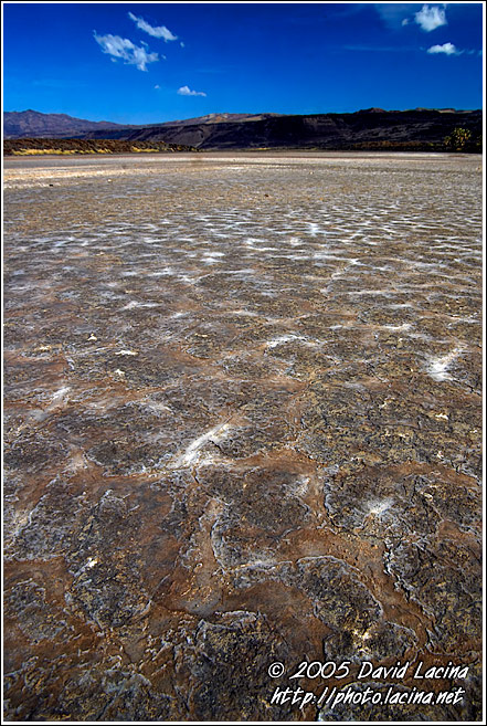 Dry Land By Lake Logipi - Lake Logipi, Kenya
