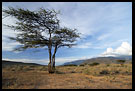 Still Alive?, The Suguta Valley-Nature, Kenya