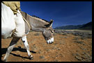 Endless Journey, The Suguta Valley-Nature, Kenya