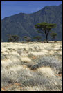 Savannah, The Suguta Valley-Nature, Kenya