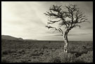 Black And White Dreams, The Suguta Valley-Nature, Kenya