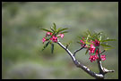 Imagine, The Suguta Valley-Nature, Kenya