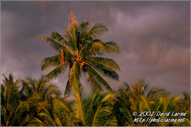 alone - sunset at beach - Langkawi I., Malaysia