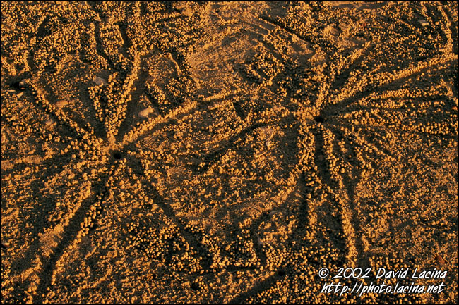 the signs - Langkawi I., Malaysia