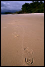 footprints on beach, Langkawi I., Malaysia