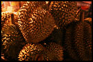 durians, Langkawi I., Malaysia