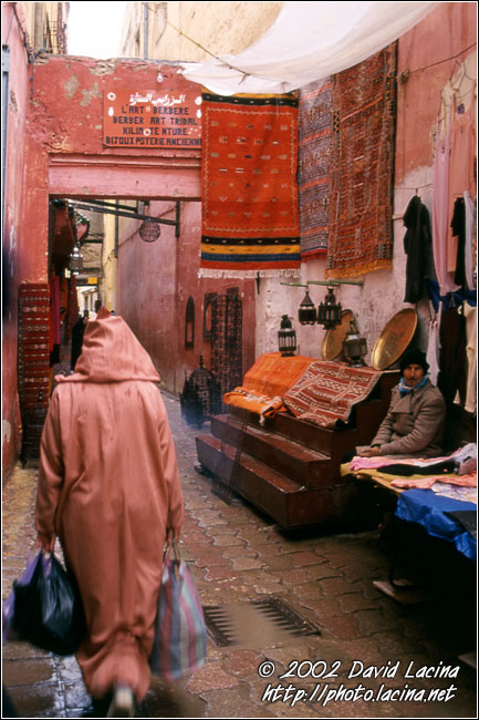 street of medina, meknes - Best Of Marocco, Marocco