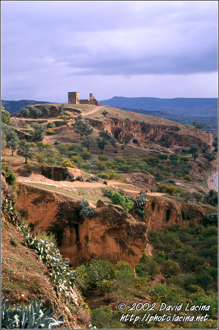 kasbah Amerhidil, skoura - Best Of Marocco, Marocco