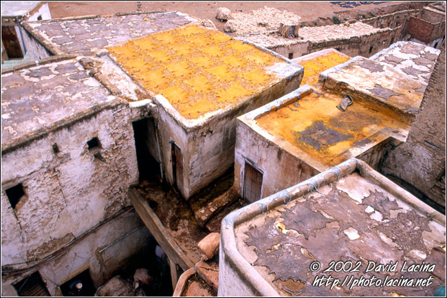 tannery, fès - Best Of Marocco, Marocco