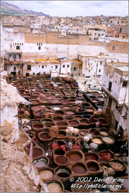 tannery, fès - Best Of Marocco, Marocco